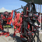 15.09.2019. Chmielnik. Jarmark koński i festiwal pierogowy / Wiktor Taszłow / Radio Kielce