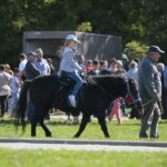 15.09.2019. Chmielnik. Jarmark koński i festiwal pierogowy / Wiktor Taszłow / Radio Kielce