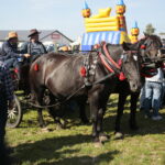 15.09.2019. Chmielnik. Jarmark koński i festiwal pierogowy / Wiktor Taszłow / Radio Kielce
