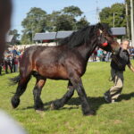 Fot. Wiktor Taszłow - Radio Kielce