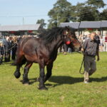 15.09.2019. Chmielnik. Jarmark koński i festiwal pierogowy / Wiktor Taszłow / Radio Kielce