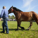 15.09.2019. Chmielnik. Jarmark koński i festiwal pierogowy / Wiktor Taszłow / Radio Kielce