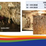 Informacja zarządu ROT o sezonie turystycznym 2019 / Regionalna Organizacja Turystyczna Województwa Świętokrzyskiego