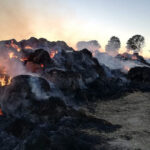 Pożar słomy w Przeuszynie w gminie Ćmielów / Komenda Powiatowa Straży Pożarnej w Ostrowcu Św.
