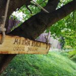 12.10.2019 Sandomierz. „Ścieżka przyrodniczo-edukacyjna" w Parku Piszczele / MOSIR w Sandomierzu