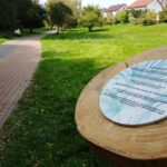 12.10.2019 Sandomierz. „Ścieżka przyrodniczo-edukacyjna" w Parku Piszczele / MOSIR w Sandomierzu