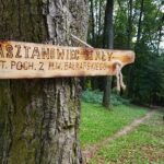 12.10.2019 Sandomierz. „Ścieżka przyrodniczo-edukacyjna" w Parku Piszczele / MOSIR w Sandomierzu