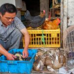 Chiny / Aleksandra Świstow