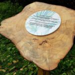 12.10.2019 Sandomierz. „Ścieżka przyrodniczo-edukacyjna" w Parku Piszczele / MOSIR w Sandomierzu