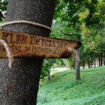 12.10.2019 Sandomierz. „Ścieżka przyrodniczo-edukacyjna" w Parku Piszczele / MOSIR w Sandomierzu