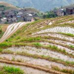 Chiny / Aleksandra Świstow