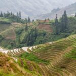 Chiny / Aleksandra Świstow