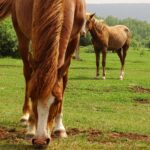 Rosja / Łukasz Machowczyk / Radio Kielce