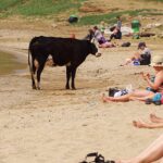 Rosja / Łukasz Machowczyk / Radio Kielce