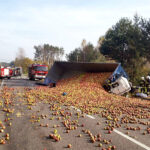 22.10.2019. Przeczów. Wypadek na trasie krajowej nr 79 / Komenda Powiatowa Policji w Staszowie