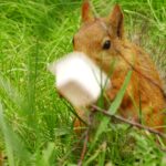 Rosja / Łukasz Machowczyk / Radio Kielce