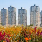 Chiny / Aleksandra Świstow