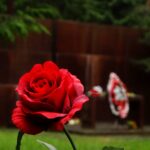 Rosja / Łukasz Machowczyk / Radio Kielce