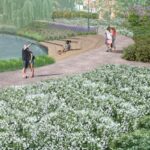 Wizualizacja parku miejskiego w Kielcach / mat. prasowe