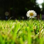 Rosja / Łukasz Machowczyk / Radio Kielce