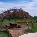 Wiklinowa Przystań w Skotnikach Dużych w gminie Busko-Zdrój / Beata Borek/Facebook