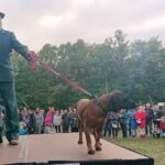 06.10.2019. Kielce. Hubertus / Dorota Klusek / Radio Kielce