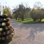 23.10.2019. Końskie. Kapuściane klomby / Magdalena Galas-Klusek / Radio Kielce