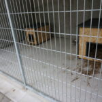 09.10.2019 Kielce. Otwarcie nowo wyremontowanego schroniska. / Mateusz Kaczmarczyk / Radio Kielce