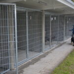 09.10.2019 Kielce. Otwarcie nowo wyremontowanego schroniska. / Mateusz Kaczmarczyk / Radio Kielce