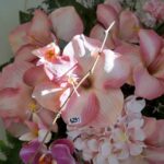 Przygotowania na Wszystkich Świętych. Kwiaty / Piotr Kwaśniewski / Radio Kielce