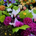 Przygotowania na Wszystkich Świętych. Kwiaty / Piotr Kwaśniewski / Radio Kielce