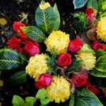 Przygotowania na Wszystkich Świętych. Kwiaty / Piotr Kwaśniewski / Radio Kielce