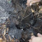 28.10.2019. Marzysz. Akcja #ZasadźSięNaZdrowie / Piotr Kwaśniewski / Radio Kielce