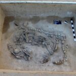 08.10.2019 Sadowie. Cmentarzysko kultur amfor kulistych / Wojciech Pasterkiewicz