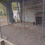 15.10.2019. Kielce. Puste woliery w kieleckim Parku Miejskim / Radio Kielce