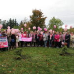 02.10.2019 Busko-Zdrój. 7. Marsz Różowej Wstążeczki / Marta Gajda / Radio Kielce