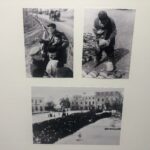 Wystawa „Sandomierz w czasie okupacji” / Grażyna Szlęzak-Wójcik / Radio Kielce