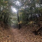 22.10.2019. Sandomierz. Nieczynny Lessowy Wąwóz Świętej Królowej Jadwigi / Grażyna Szlęzak-Wójcik / Radio Kielce