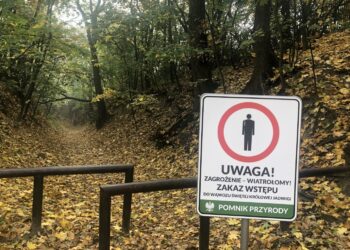 22.10.2019. Sandomierz. Nieczynny Lessowy Wąwóz Świętej Królowej Jadwigi / Grażyna Szlęzak-Wójcik / Radio Kielce