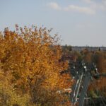 16.10.2019. Kielce. Złota polska jesień / Wiktor Taszłow / Radio Kielce