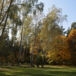 16.10.2019. Kielce. Złota polska jesień / Wiktor Taszłow / Radio Kielce