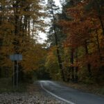 16.10.2019. Kielce. Złota polska jesień / Wiktor Taszłow / Radio Kielce