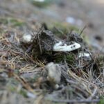 16.10.2019. Kielce. Złota polska jesień / Wiktor Taszłow / Radio Kielce