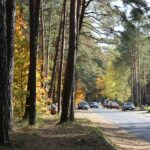 16.10.2019. Kielce. Złota polska jesień / Wiktor Taszłow / Radio Kielce