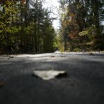 16.10.2019. Kielce. Złota polska jesień / Wiktor Taszłow / Radio Kielce