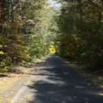 16.10.2019. Kielce. Złota polska jesień / Wiktor Taszłow / Radio Kielce