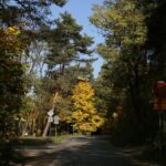 16.10.2019. Kielce. Złota polska jesień / Wiktor Taszłow / Radio Kielce