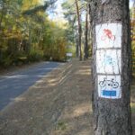 16.10.2019. Kielce. Złota polska jesień / Wiktor Taszłow / Radio Kielce