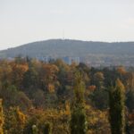 16.10.2019. Kielce. Złota polska jesień / Wiktor Taszłow / Radio Kielce