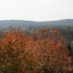 16.10.2019. Kielce. Złota polska jesień / Wiktor Taszłow / Radio Kielce